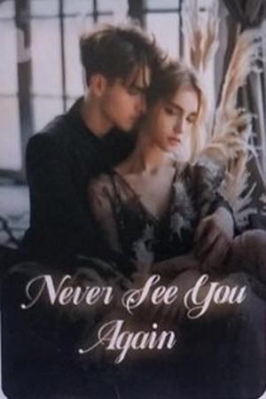Never See You Again